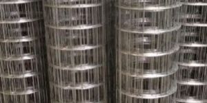 Gi Welded Wire Mesh