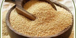 Brown Top Millet