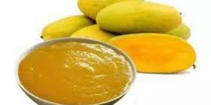 Totapuri Mango Concentrate