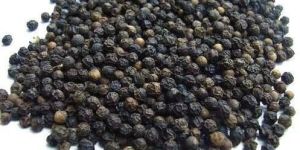 Black Pepper Seeds
