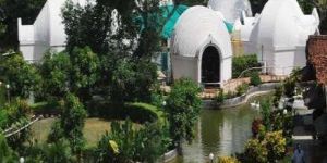 Garden Exterior Designing Service