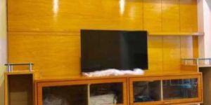 TV Wall Unit Interior Designing Service