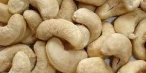 RDP Cashew Nuts