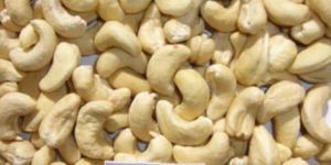 SW240 Cashew Nuts