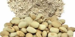 Kaunch Beej Extract Powder