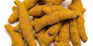 Turmeric Finger