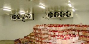 Fruits Cold Storage Room