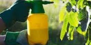 Liquid Foliar Fertilizer