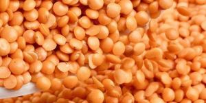 Unpolished Masoor Dal