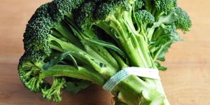 Fresh Broccoli