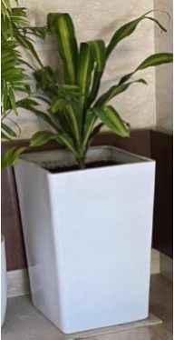 Palm FRP Planters