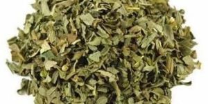 Green Dried Krishna Tulsi Leaves