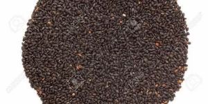Natural Rama Tulsi Seeds
