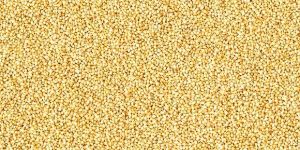 Foxtail Millet Seeds