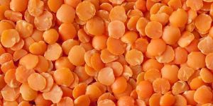 Red Lentils