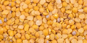 Split Pigeon Peas