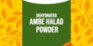 Dehydrated Ambe Halad Powder