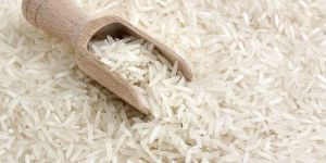 Basmati Rice
