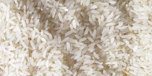 Non Basmati Rice