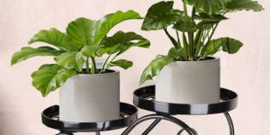 Plant Stand Thicker Flower Stand with Round Pot Supports