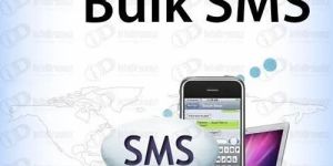 Promotional Bulk SMS Service