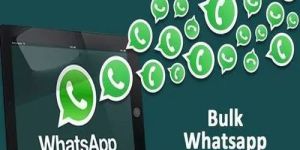 Whatsapp Bulk SMS Service