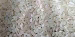 Swarna Basmati Rice