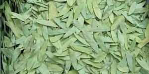 Senna Leaves (No 1-2)