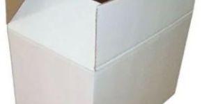 7 Kg 3 Ply Corrugated Box