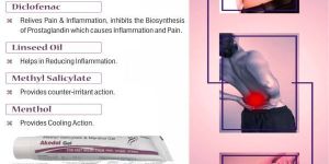 Diclofenace Diethylamine Methyl Salicylate Linseed Oil Menthol Gel