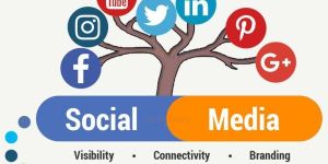 Social Media Optimization