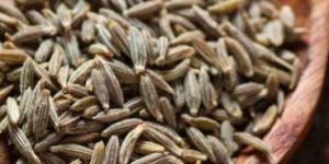 Cumin Seed