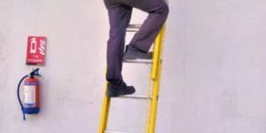 Youngman FRP Extension Ladder