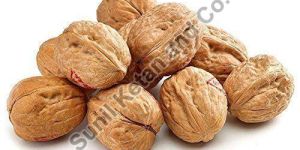 Shelled Walnuts
