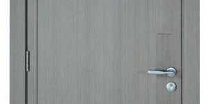 Interior Stylish Veneer Door