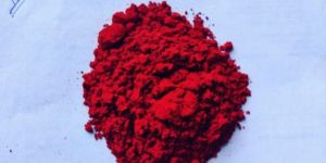 Krishna Red Kumkum Roli Powder