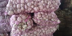 Kashmiri China Garlic