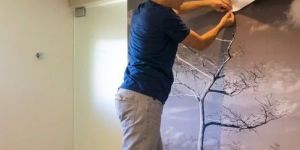 Wallpapers Installation Services