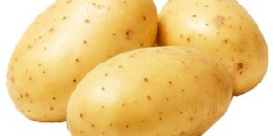 Potato
