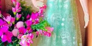 Ladies Party Wear Gown