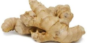 Fresh Ginger
