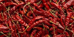 Dried Red Chilli