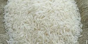 Kolam Rice