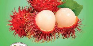 Rambutan Fruit