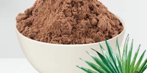 Saw Palmetto Powder