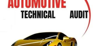 Automobile Service Audits