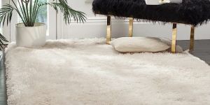 Shaggy Carpets