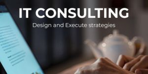 Business Analyst Services