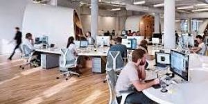 Office Interior Designing