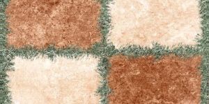 Vitrified Ceramic Wall Tile